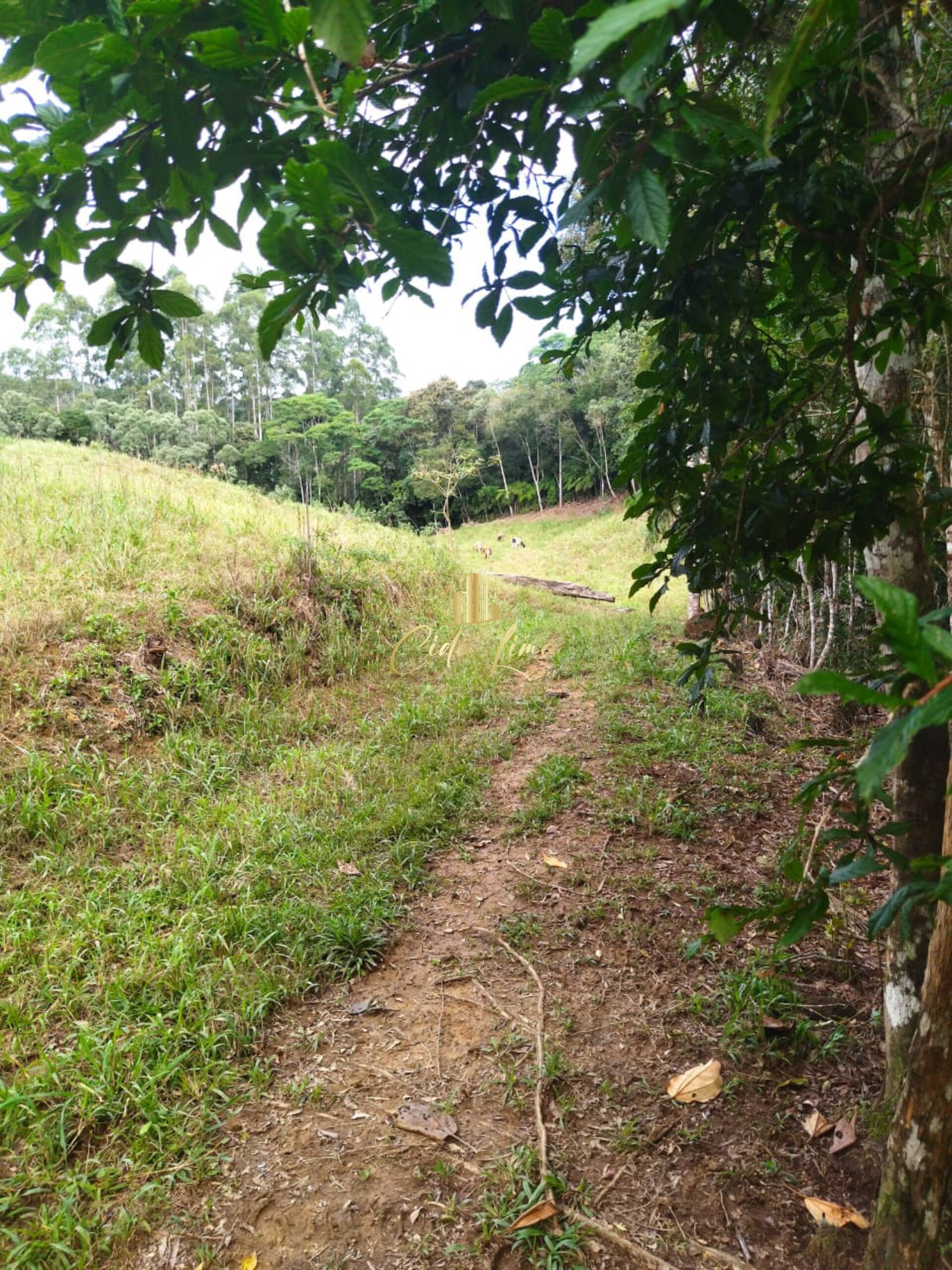 Terreno à venda, 6000000m² - Foto 3