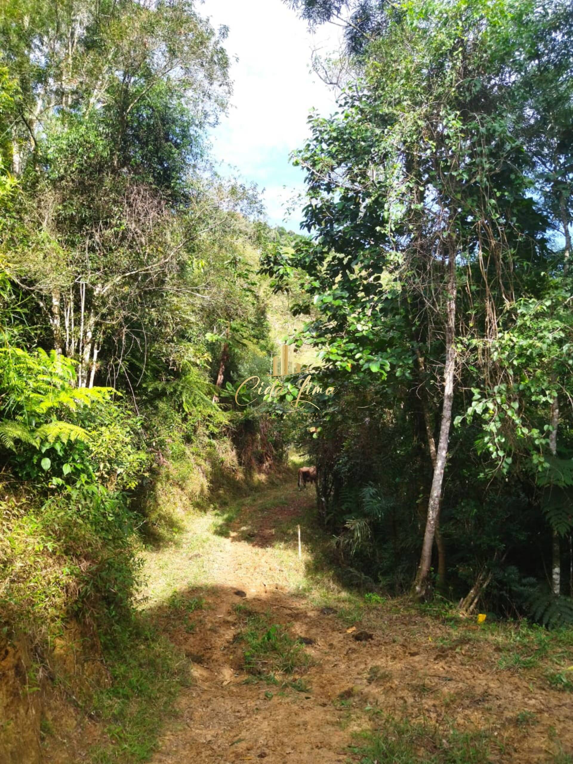 Terreno à venda, 6000000m² - Foto 6