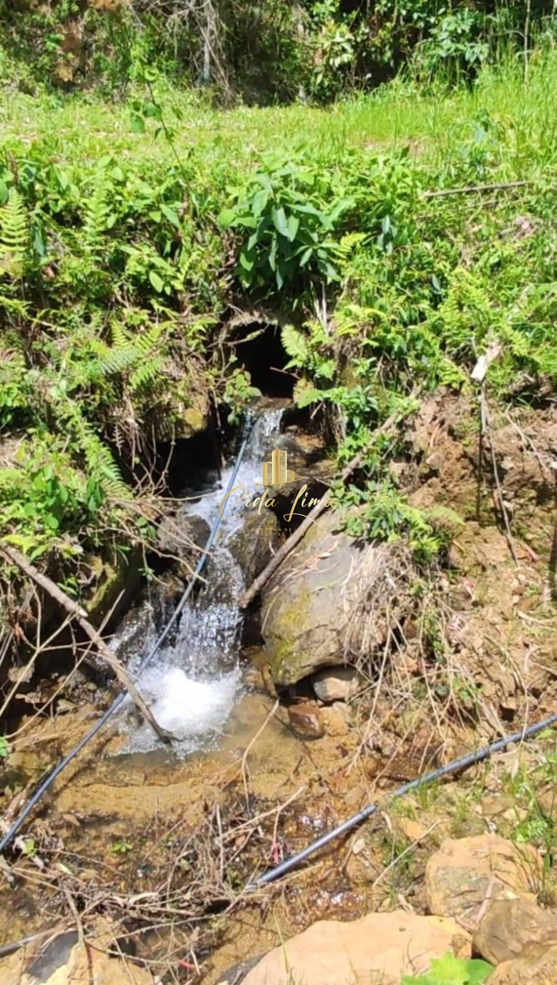 Terreno à venda, 200000m² - Foto 10