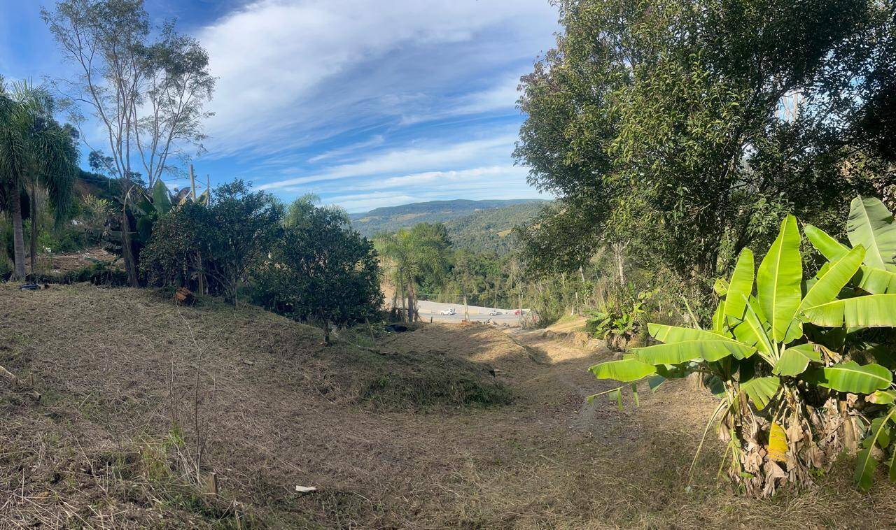 Fazenda à venda com 2 quartos, 10000m² - Foto 18