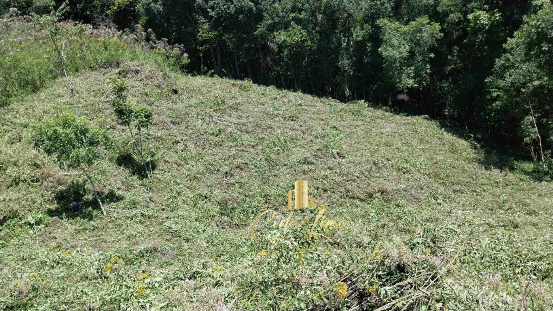 Fazenda à venda com 3 quartos, 120000m² - Foto 8